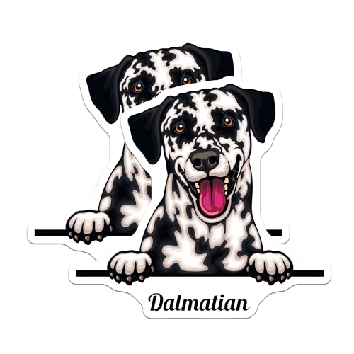 (2 Pack) Dalmatian Dog Stickers - Cute Dog Lover Stickers - Dog Breed Decals for Laptops and Water Bottles - 5" On Longest Side - Sticks to Smooth Flat Surfaces - Made in USA - BMCS4213