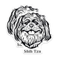 (2 Pack) Shih Tzu Dog Magnets - Cute Dog Magnets - Shih Tzu Art - Dog Lover Magnets - 5" On Longest Side - for Cars, Fridges, Toolboxes - Made in USA - MAG4029