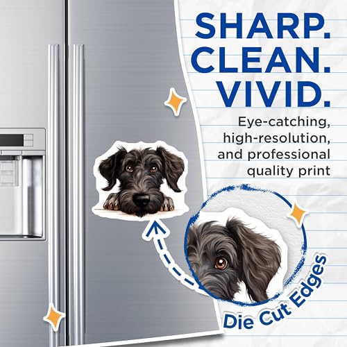 (2 Pack) Pet Lover Decor Magnet - 5" On Longest Side - Sticks to Smooth Flat Surfaces - Made in USA - MAG10271