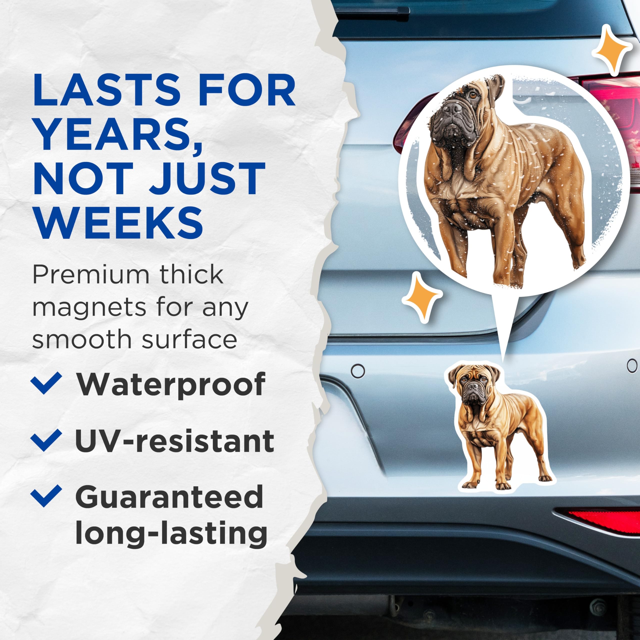 (2 Pack) Bullmastiff Dog Magnets - Dog Breed Lover Decor - Pet Owner Fridge Art - Canine Enthusiast Item - 5 Inches On Longest Side - Thick Durable Magnet - Made in USA - MAG28166