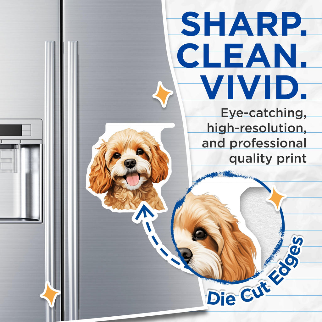 (2 Pack) Cavapoo Dog Face Magnets - Happy Cockapoo Puppy - Dog Lover Fridge Decor - 5 Inches On Longest Side - Thick Durable Magnet - Made in USA - MAG28376