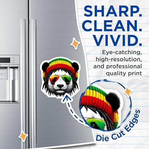 (2 Pack) Rasta Panda Magnets - Cool Fridge - Fun Animal Magnets - Bright Kitchen Magnets - 5" On Longest Side - for Cars, Fridges, Toolboxes - Made in USA - MAG4388