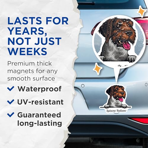 (2 Pack) Spinone Italiano Dog Magnets - Pet Lover - Refrigerator Magnet - Cute Dog Fridge Magnet - 5" On Longest Side - for Cars, Fridges, Toolboxes - Made in USA - MAG4226