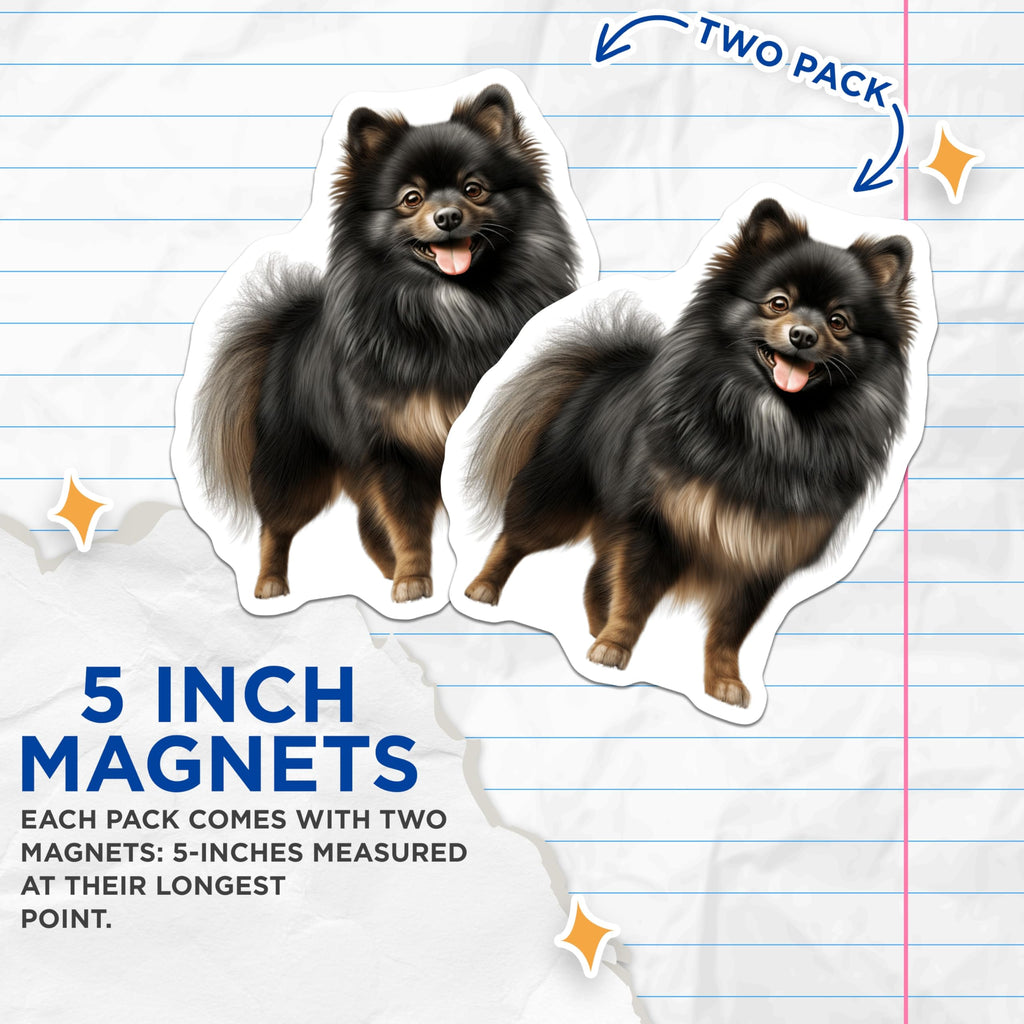 (2 Pack) Black Pomeranian Magnets - Fluffy Dog Decor - Pomeranian Mom Lover Item - 5 Inches On Longest Side - Thick Durable Magnet - Made in USA - MAG28308
