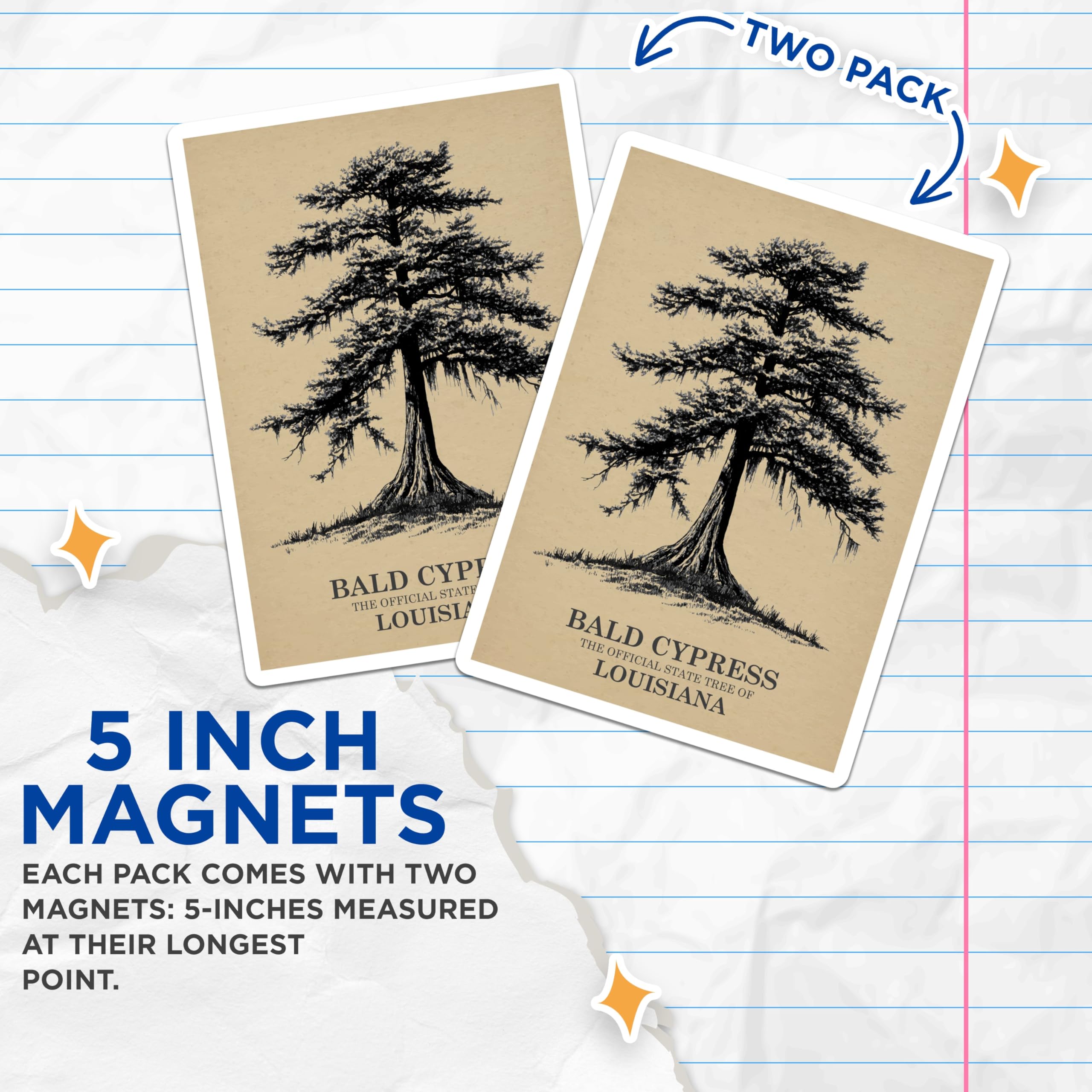 (2 Pack) Bald Cypress Magnets - Louisiana State Tree Decor - Tree Art Fridge Magnets - 5" On Longest Side - Premium Magnet - for Cars, Refrigerators, Toolboxes, Lockers - Made in USA - MAG17997