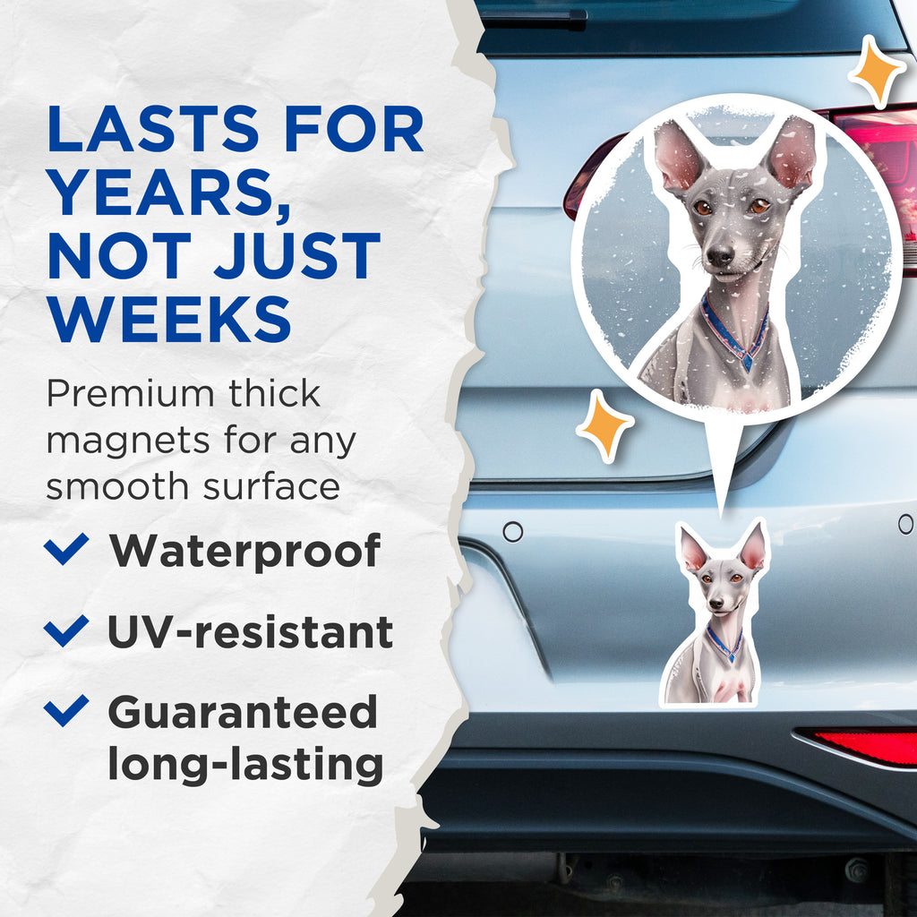 (2 Pack) Italian Greyhound Magnets - Dog Lover Decor - Pet Owner Home Accent - Italian Sighthound Art - 5 Inches On Longest Side - Thick Durable Magnet - Made in USA - MAG38866