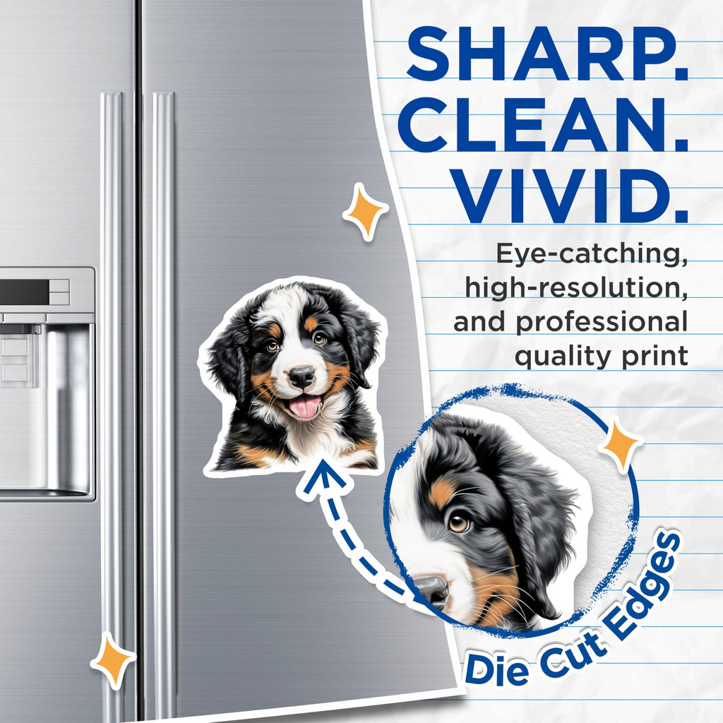 (2 Pack) Bernese Mountain Dog Magnets - Happy Puppy Fridge Decor - Animal Lover Accessory - 5 Inches On Longest Side - Thick Durable Magnet - Made in USA - MAG26760
