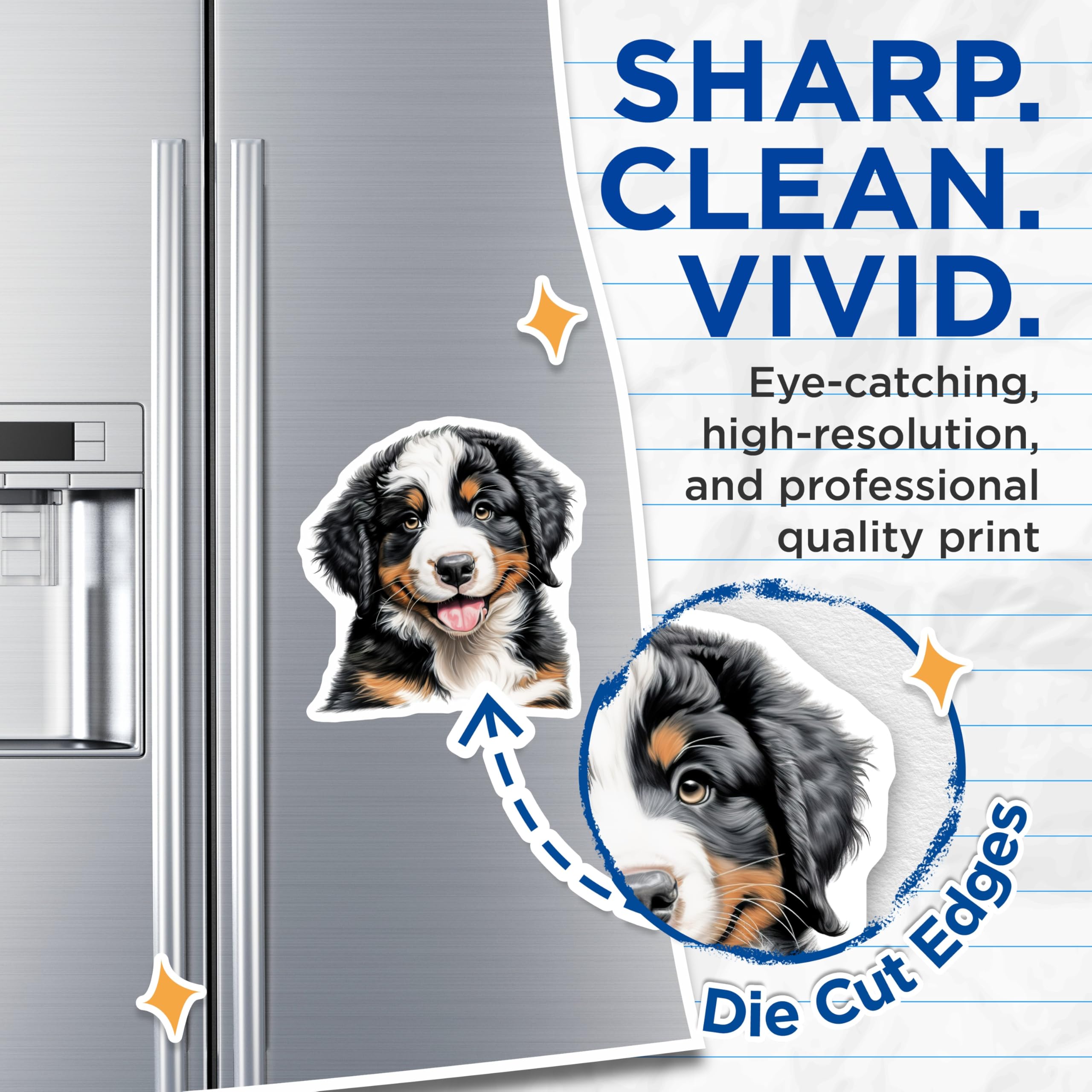 (2 Pack) Bernese Mountain Dog Magnets - Happy Puppy Fridge Decor - Animal Lover Accessory - 5 Inches On Longest Side - Thick Durable Magnet - Made in USA - MAG26760