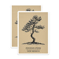 (2 Pack) Pinyon Pine Stickers - New Mexico State Tree - Nature Stickers - 5" On Longest Side - Sticks to Smooth Flat Surfaces - Made in USA - BMCS18592