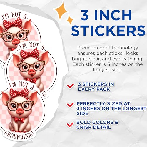 (3 Pack) Pig Decals - Funny Piggy Art - I'm Not A Groundhog Decal - 3 Inches On Longest Side - Easy Peel & Apply - Made in USA - 3MCS6708