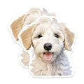 (2 Pack) Goldendoodle Puppy Magnets - Cute Dog Lover - Pet Owner Refrigerator Decor - 5 Inches On Longest Side - Thick Durable Magnet - Made in USA - MAG26225