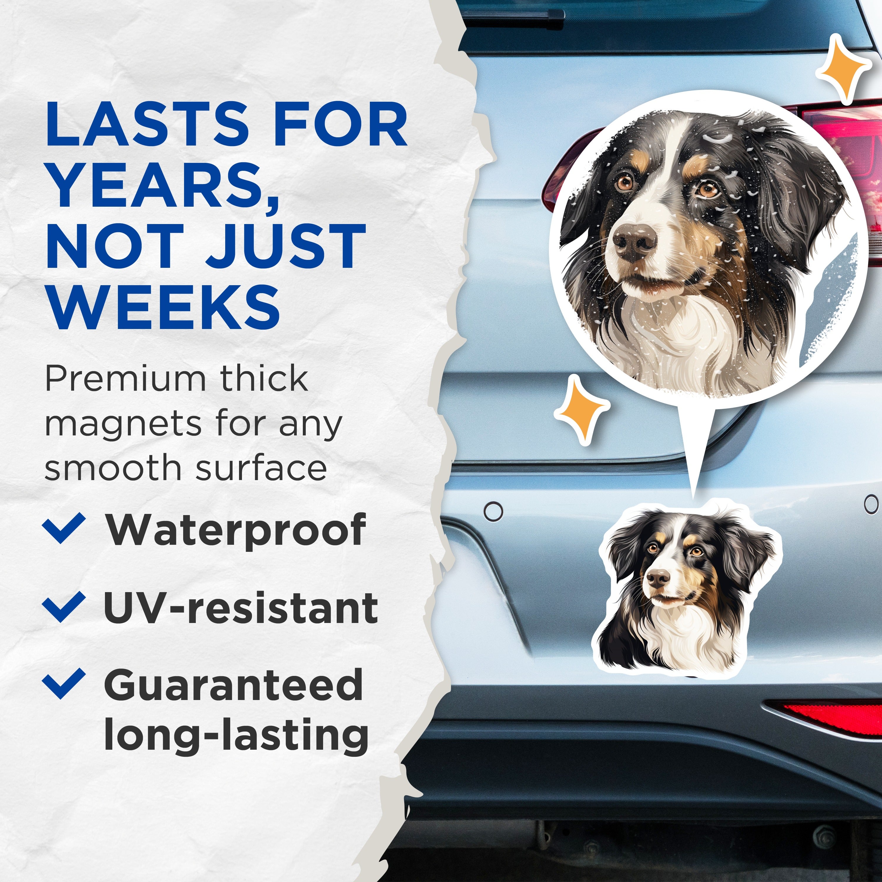 (2 Pack) Australian Shepherd Magnets - Aussie Dog Lover Decor - Pet Owner Home Fridge Magnet - Dog Mom Dad Present - 5 Inches On Longest Side - Thick Durable Magnet - Made in USA - MAG36157
