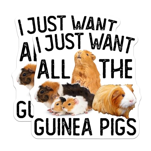 (2 Pack) Guinea Pig Stickers - Cute Animal Stickers - Funny Pet Stickers - 5" On Longest Side - Sticks to Smooth Flat Surfaces - Made in USA - BMCS5098