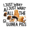 (2 Pack) Guinea Pig Stickers - Cute Animal Stickers - Funny Pet Stickers - 5" On Longest Side - Sticks to Smooth Flat Surfaces - Made in USA - BMCS5098