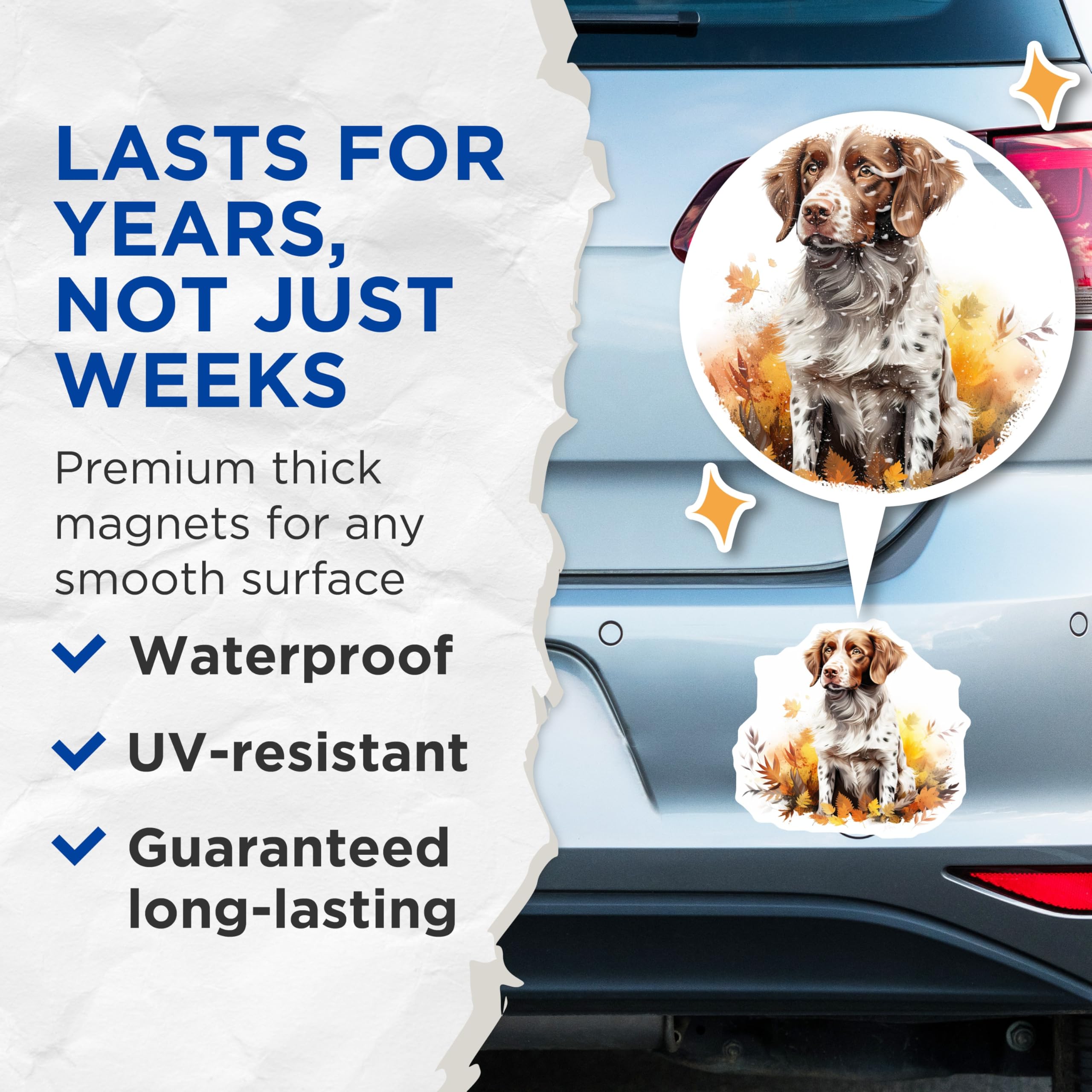 (2 Pack) Brittany Spaniel Dog Magnets - Autumn Fall Pet Art - Dog Lover Kitchen Decor - 5 Inches On Longest Side - Thick Durable Magnet - Made in USA - MAG26232