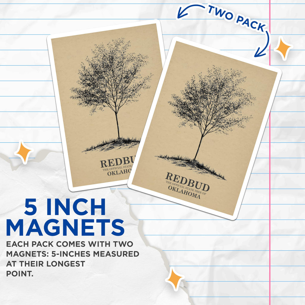 (2 Pack) Redbud Tree Magnets - Oklahoma State Tree - Botanical Art Decor - 5" On Longest Side - Premium Magnet - for Cars, Refrigerators, Toolboxes, Lockers - Made in USA - MAG18894