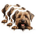 (3 Pack) Border Terrier Decals - Dog Breed Stickers - Laptop Decal - 3 Inches On Longest Side - Easy Peel & Apply - Made in USA - 3MCS8651
