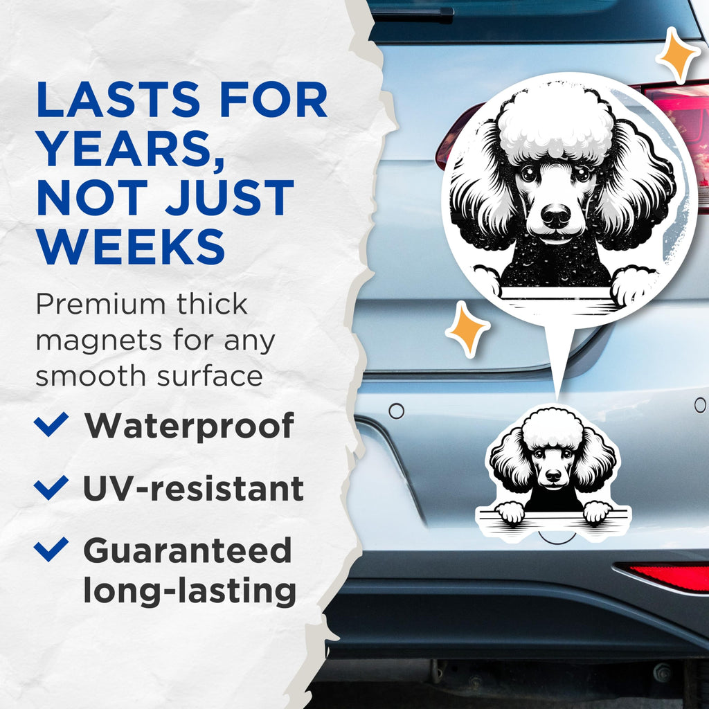 (2 Pack) Poodle Magnets - Cute Dog Magnets - Refrigerator Magnets - Pet Lover Decor - 5" On Longest Side - Premium Magnet - for Cars, Refrigerators, Toolboxes, Lockers - Made in USA - MAG15217