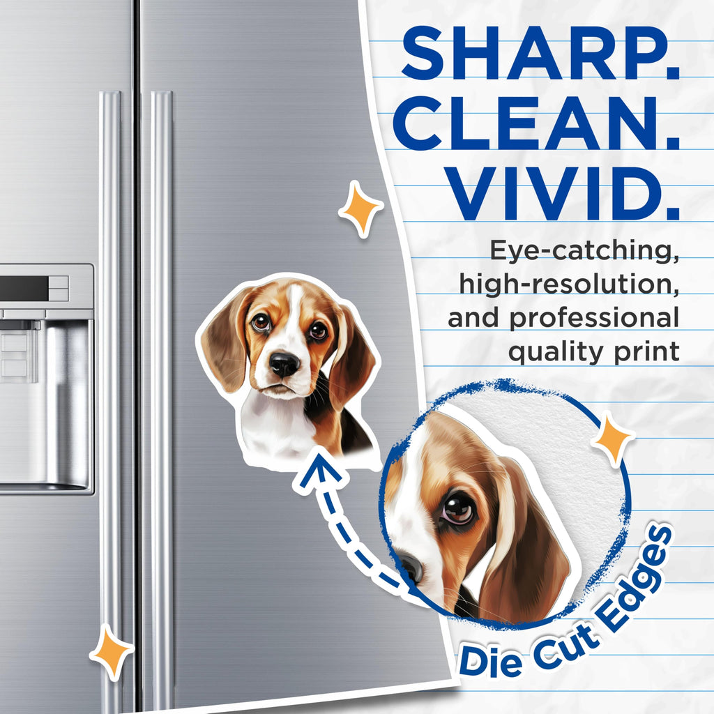 (2 Pack) Charming Beagle Puppy Magnets - Adorable Dog Pet Owner Home Decor - Canine Lover Refrigerator Display Piece - 5 Inches On Longest Side - Thick Durable Magnet - Made in USA - MAG24729