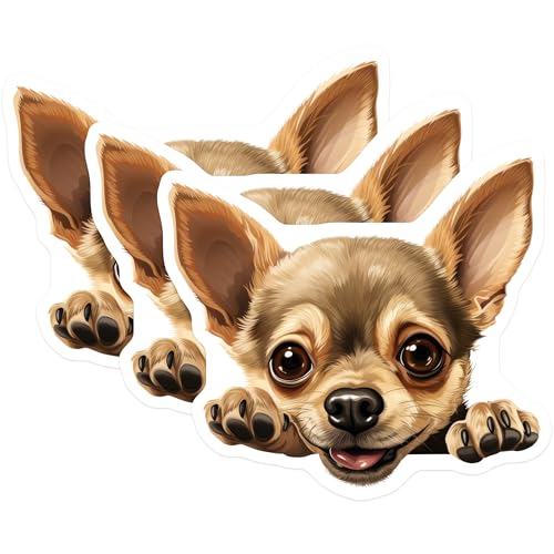 (3 Pack) Chihuahua Decals - Cute Dog Stickers - Laptop Decal Art - 3 Inches On Longest Side - Easy Peel & Apply - Made in USA - 3MCS8692