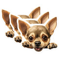 (3 Pack) Chihuahua Decals - Cute Dog Stickers - Laptop Decal Art - 3 Inches On Longest Side - Easy Peel & Apply - Made in USA - 3MCS8692