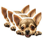 (3 Pack) Chihuahua Decals - Cute Dog Stickers - Laptop Decal Art - 3 Inches On Longest Side - Easy Peel & Apply - Made in USA - 3MCS8692