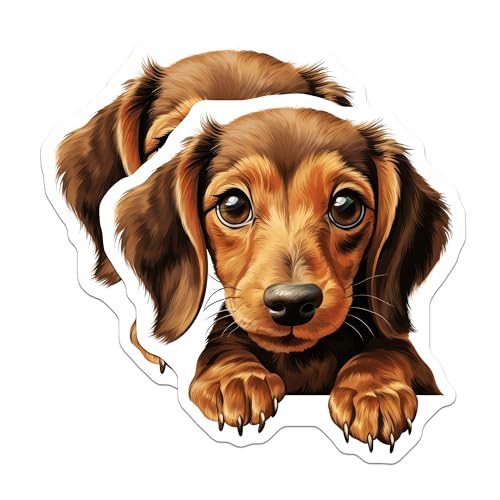 (2 Pack) Dog Lover DÃƒÂ©cor Magnet - 5" On Longest Side - Sticks to Smooth Flat Surfaces - Made in USA - MAG9948