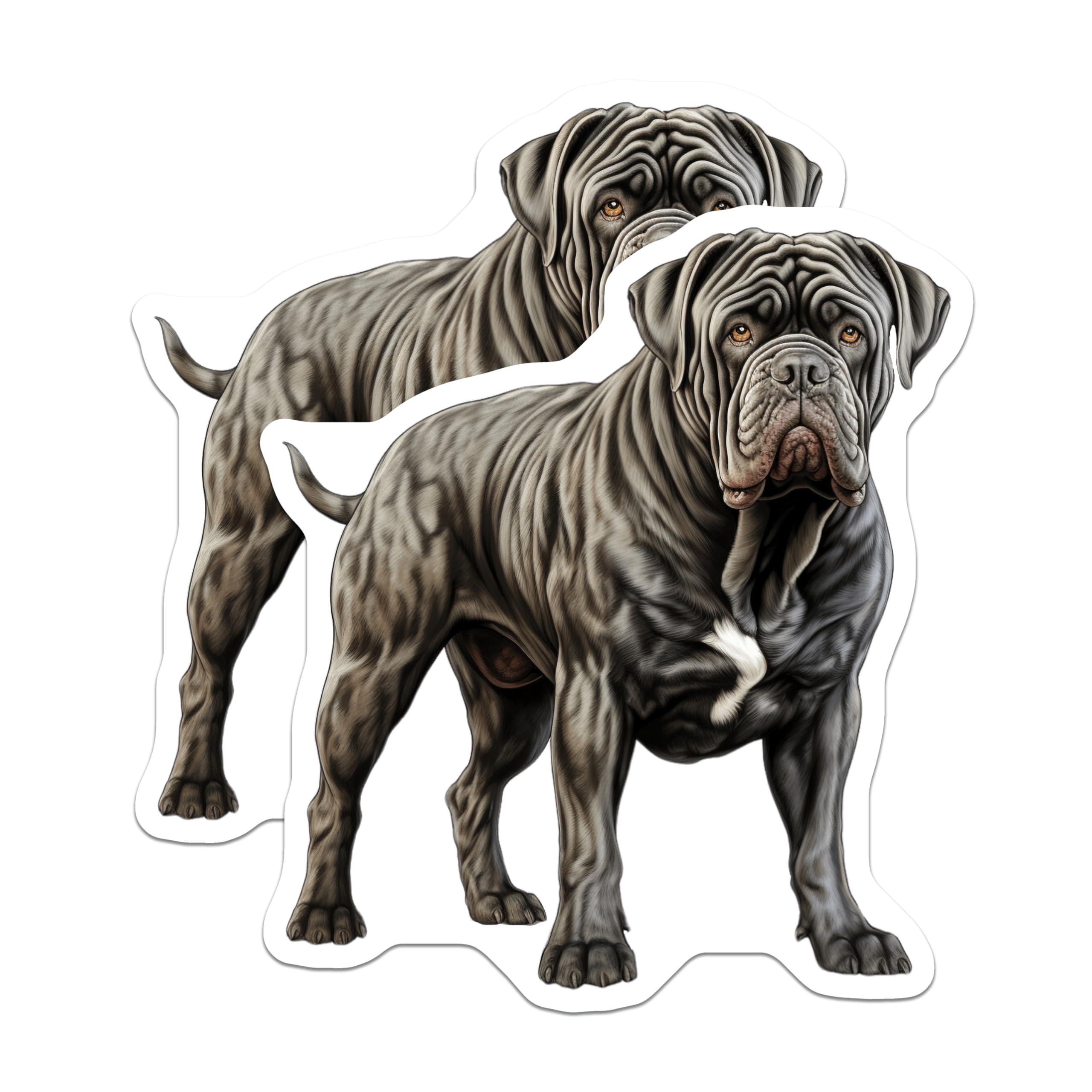 (2 Pack) Neapolitan Mastiff Magnets - Wrinkled Dog Art - Pet Parent Refrigerator Decor - 5 Inches On Longest Side - Thick Durable Magnet - Made in USA - MAG26707