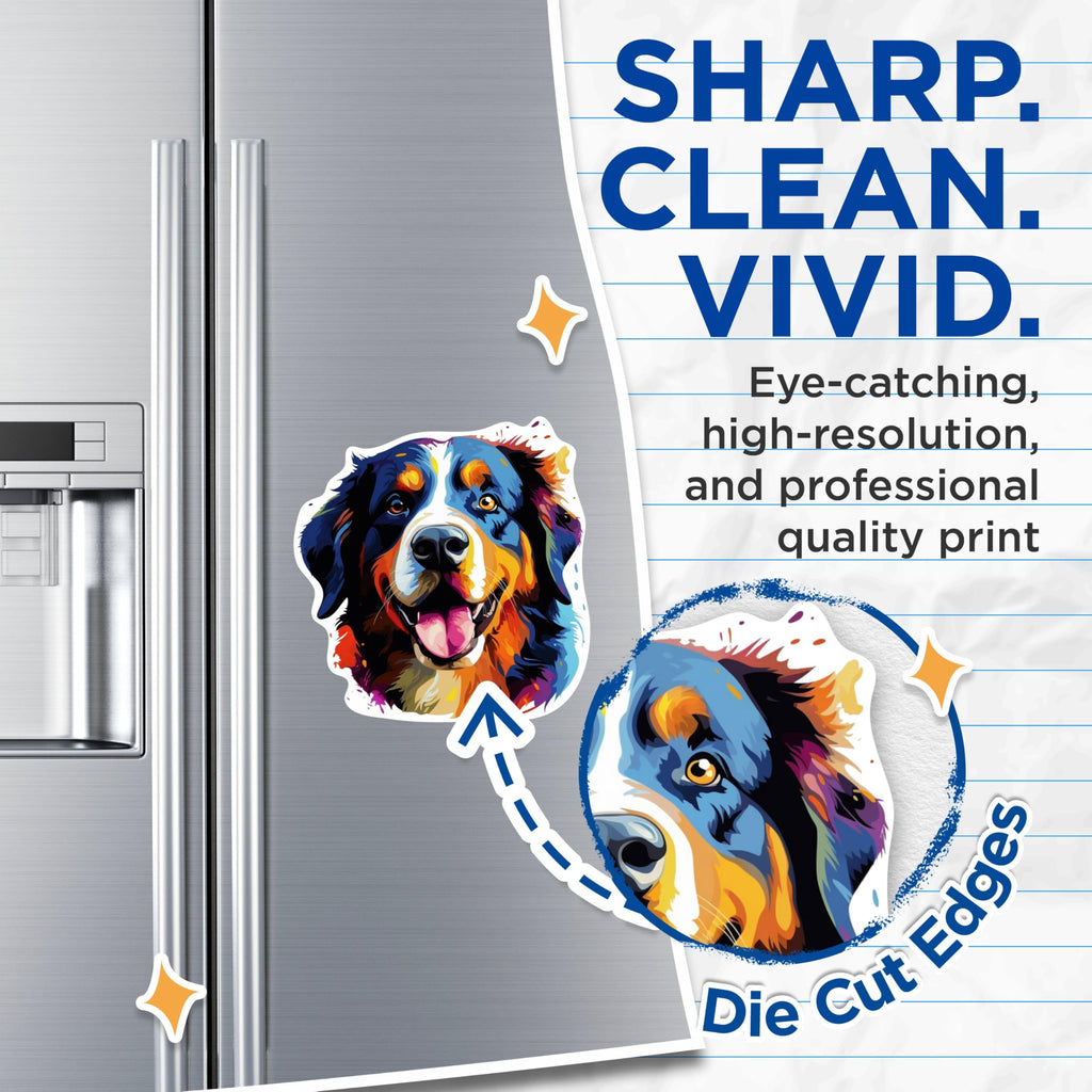 (2 Pack) Bernese Mountain Dog Breed Magnets - 5 Inches On Longest Side - Choose from Over 100 Dog Breeds - for Cars, Refrigerators, Toolboxes - Made in USA - MAG1778