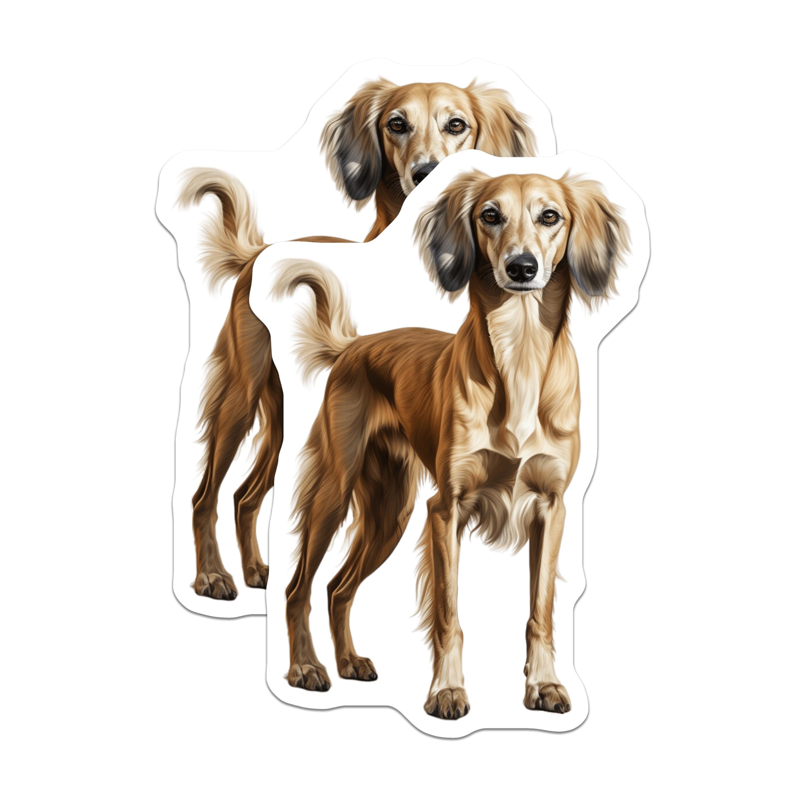 (2 Pack) Saluki Dog Magnets - Elegant Sighthound Art - Dog Lover Kitchen Decor - Pet Parent Refrigerator Accessory - 5 Inches On Longest Side - Thick Durable Magnet - Made in USA - MAG30382