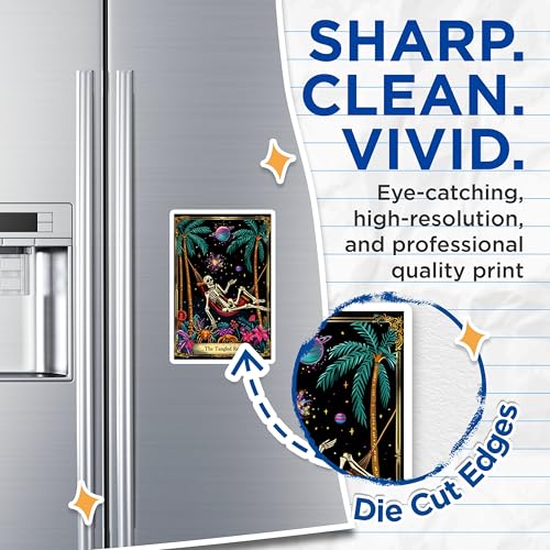 (2 Pack) The Tangled Rest Artwork Magnet - Tropical Skeleton Decor - 5" On Longest Side - Sticks to Smooth Flat Surfaces - Made in USA - MAG10019