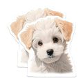 (2 Pack) Cute Puppy Magnets - Adorable Fluffy Dog Lover Refrigerator Decor - Pet Parent Kitchen Accessory - 5 Inches On Longest Side - Thick Durable Magnet - Made in USA - MAG29749
