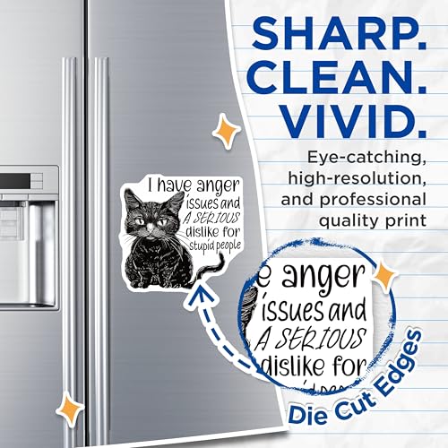 (2 Pack) Funny Cat Magnets - Anger Issues Cat - Stupid People Magnet - 5" On Longest Side - for Cars, Fridges, Toolboxes - Made in USA - MAG4335