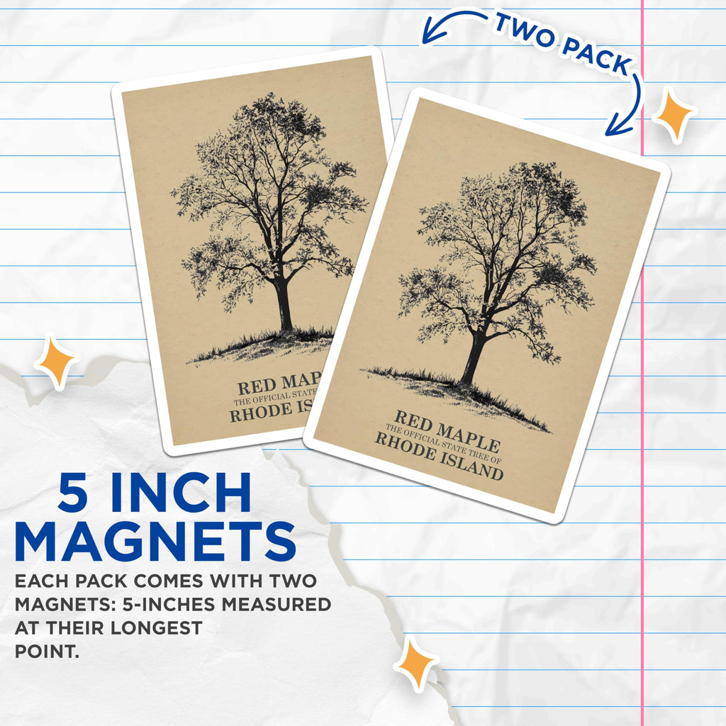 (2 Pack) Red Maple Magnets - Rhode Island State Tree - Nature Inspired Home Decor - 5" On Longest Side - Premium Magnet - for Cars, Refrigerators, Toolboxes, Lockers - Made in USA - MAG18277