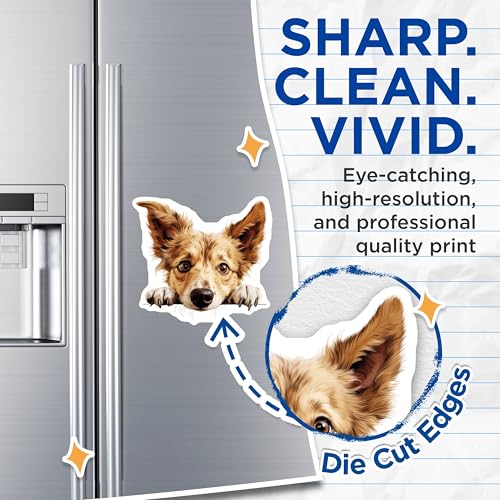 (2 Pack) Cute Dog Illustration Magnet - Fridge Decor - Animal Lover Accessories - 5" On Longest Side - Sticks to Smooth Flat Surfaces - Made in USA - MAG10255