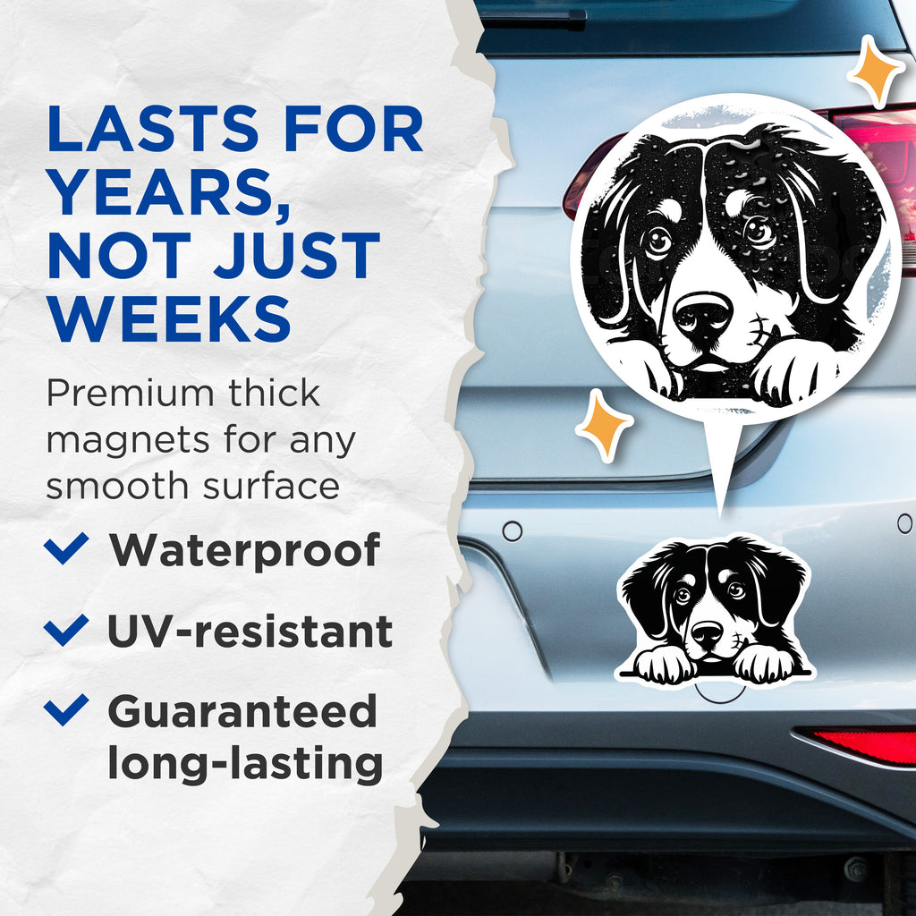 (2 Pack) Bernese Mountain Dog Magnets - Cute Puppy Fridge Decor - Dog Lover Kitchen Accessories - 5 Inches On Longest Side - Thick Durable Magnet - Made in USA - MAG38386