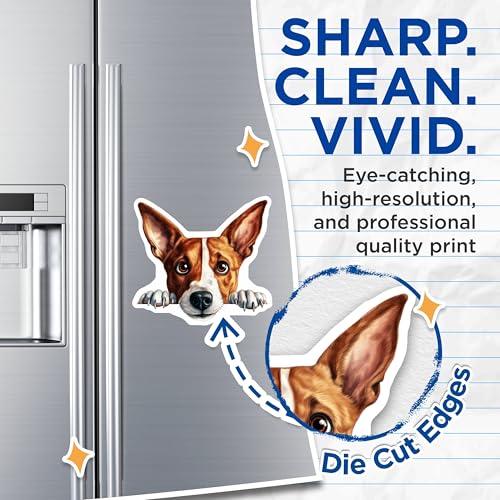 (2 Pack) Cute Pet Decor Magnet - Animal Lover's Delight - 5" On Longest Side - Sticks to Smooth Flat Surfaces - Made in USA - MAG9852