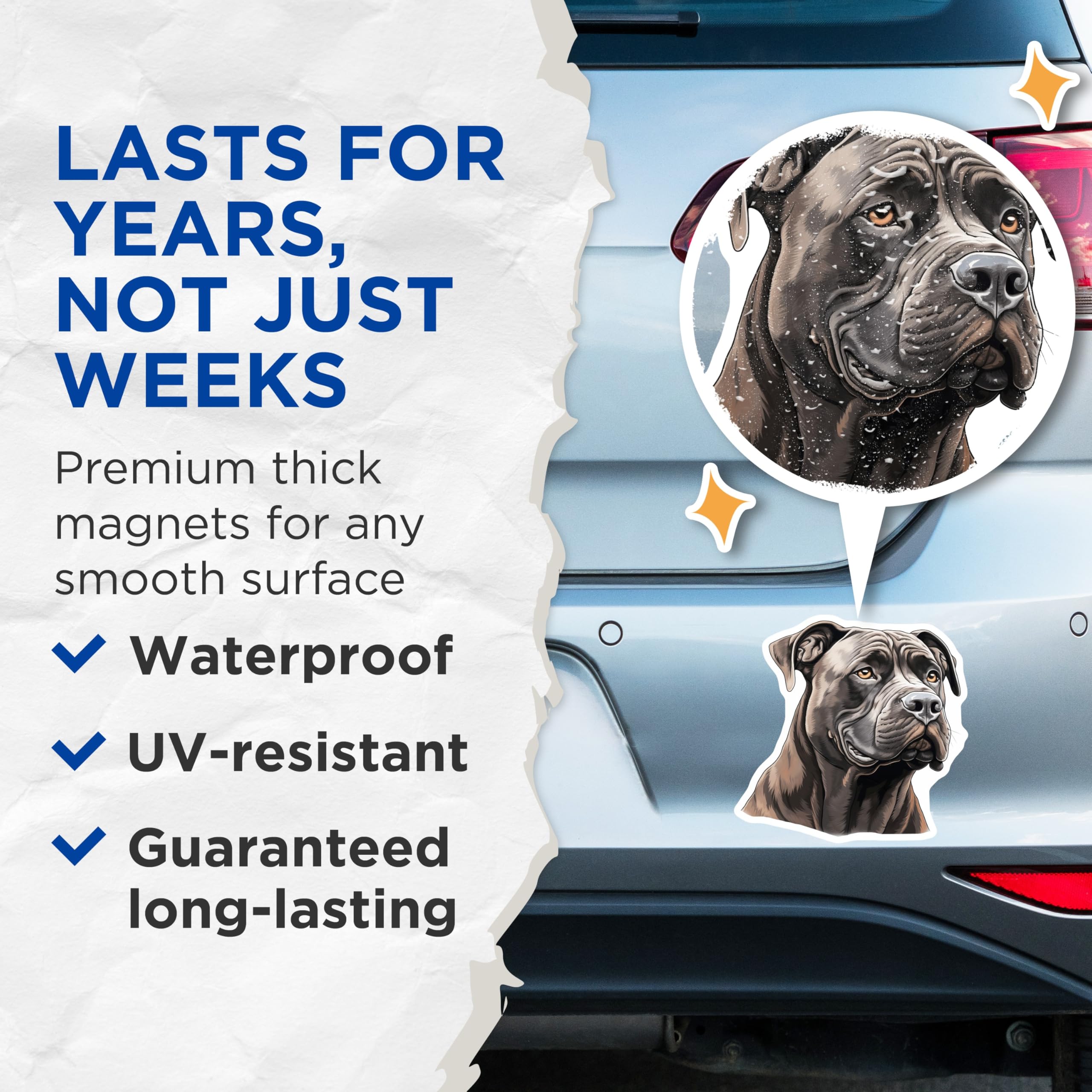 (2 Pack) Cane Corso Magnets - Dog Lover Decor - Pet Owner Accessory - Animal Art Refrigerator - 5 Inches On Longest Side - Thick Durable Magnet - Made in USA - MAG29212