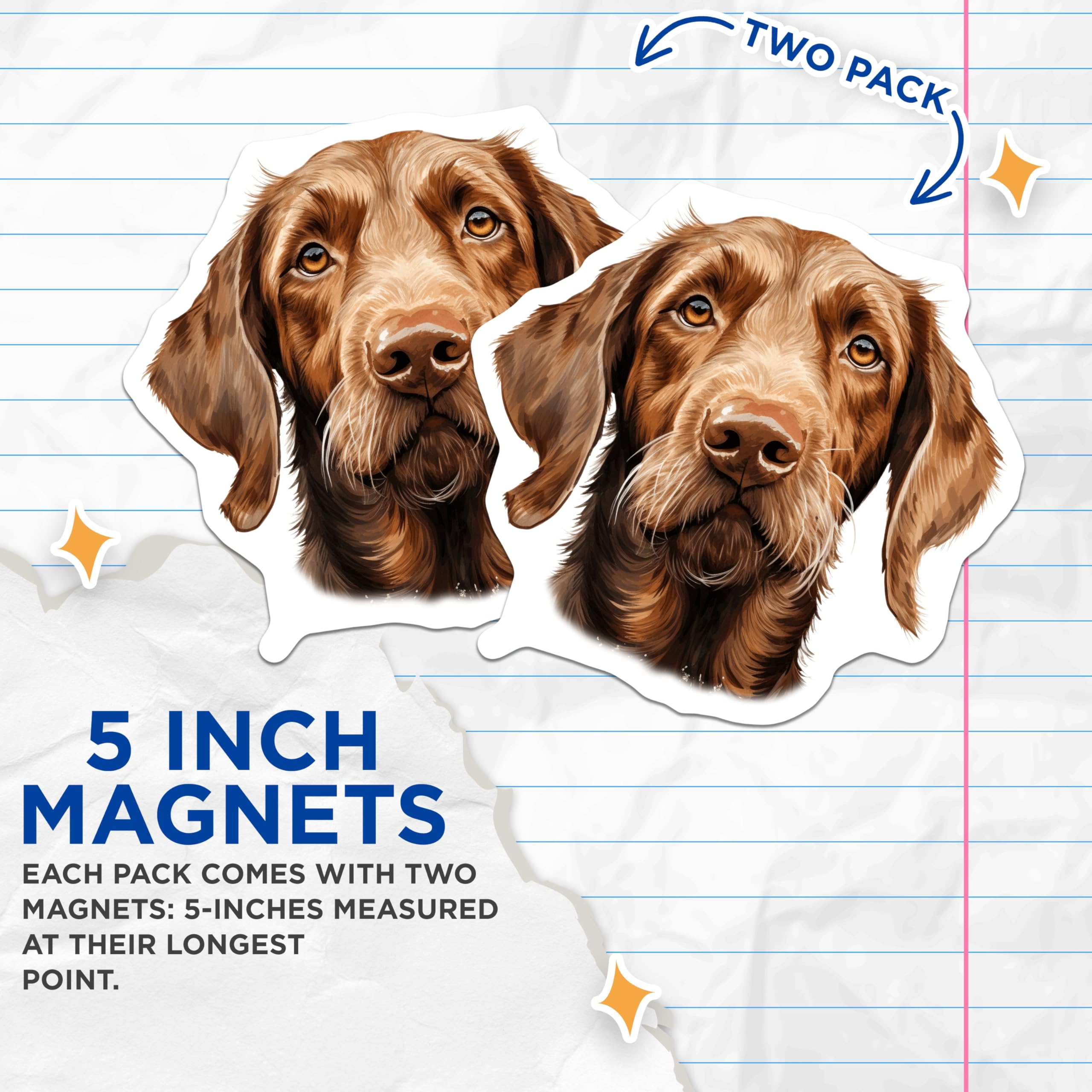(2 Pack) Vizsla Dog Magnets - Hunting Breed Decor - Pet Owner Refrigerator Art - 5 Inches On Longest Side - Thick Durable Magnet - Made in USA - MAG29145