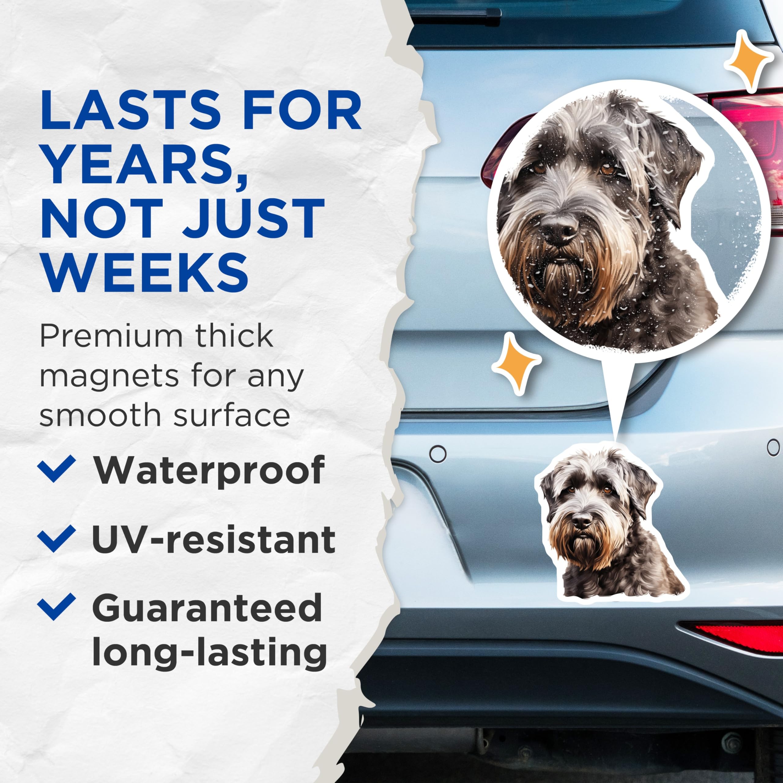 (2 Pack) Schnauzer Dog Magnets - Pet Lover Decor - Dog Mom Dad Accessories - Terrier Breed Art Refrigerator Magnets - 5 Inches On Longest Side - Thick Durable Magnet - Made in USA - MAG29210
