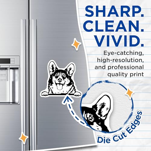 (2 Pack) Cute Corgi Dog Magnets - Animal Lover Fridge - Pet Lovers Magnets - 5" On Longest Side - for Cars, Fridges, Toolboxes - Made in USA - MAG4044