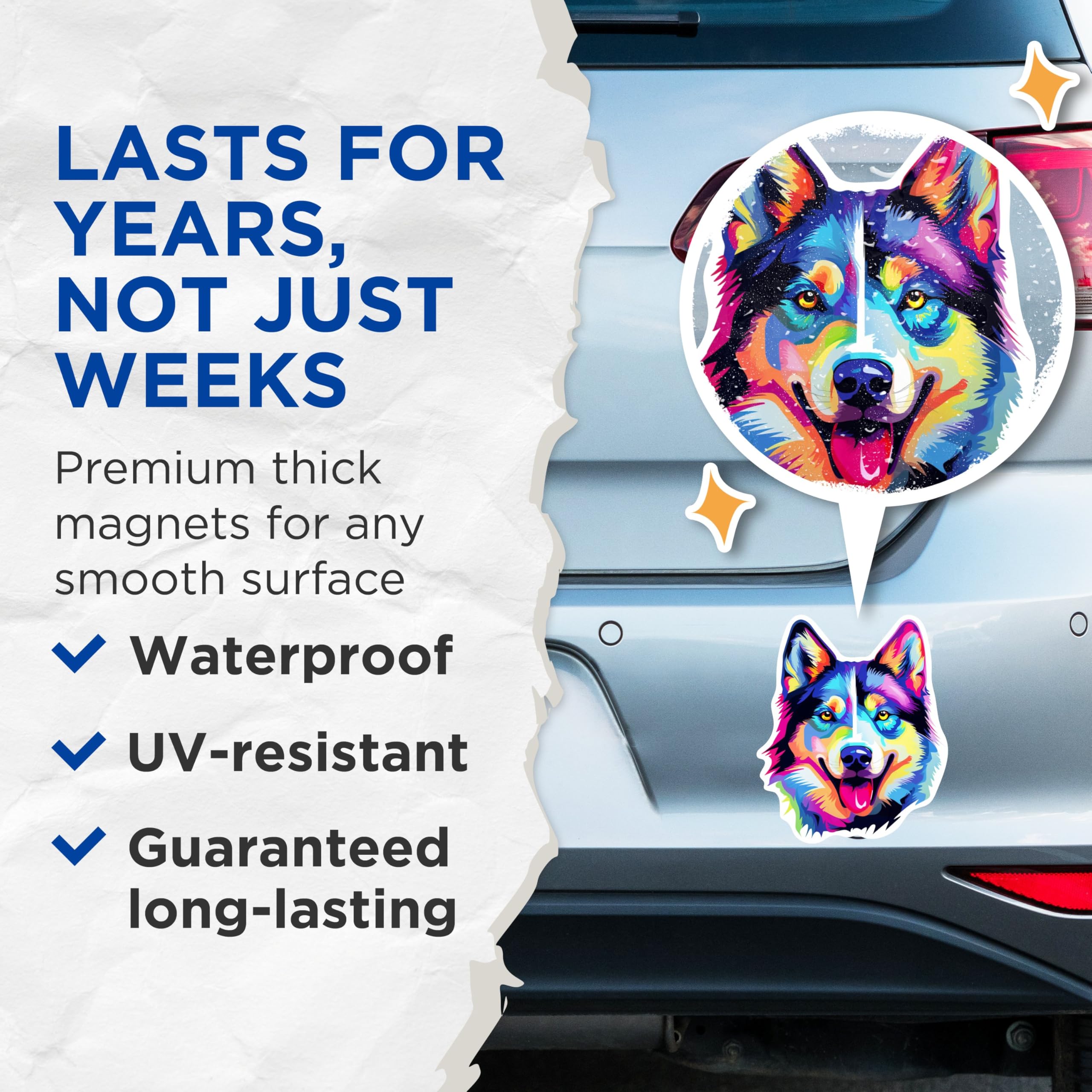 (2 Pack) Siberian Husky Dog Breed Magnets - 5 Inches On Longest Side - Choose from Over 100 Dog Breeds - for Cars, Refrigerators, Toolboxes - Made in USA - MAG1960