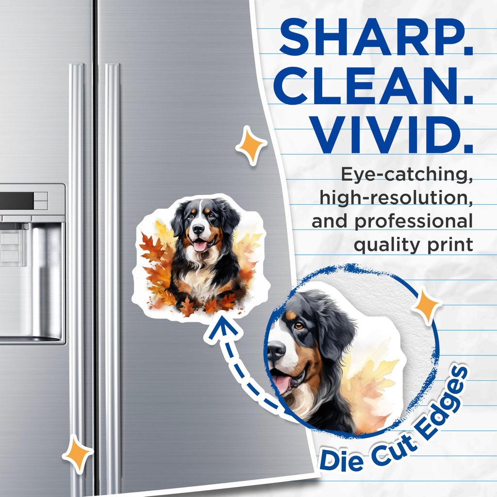 (2 Pack) Bernese Mountain Dog Magnets - Autumn Season Dog Decor - Fall Leaf Pet Artwork - Animal Lover Fridge Display - 5 Inches On Longest Side - Thick Durable Magnet - Made in USA - MAG24304