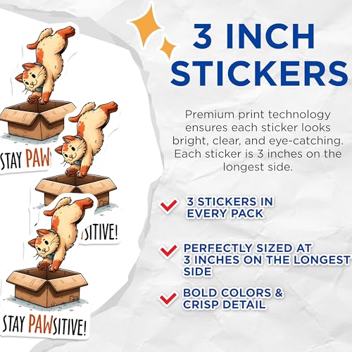 (3 Pack) Cat in Box Decals - Stay Pawsitive - Funny Animal Stickers - 3 Inches On Longest Side - Easy Peel & Apply - Made in USA - 3MCS1909
