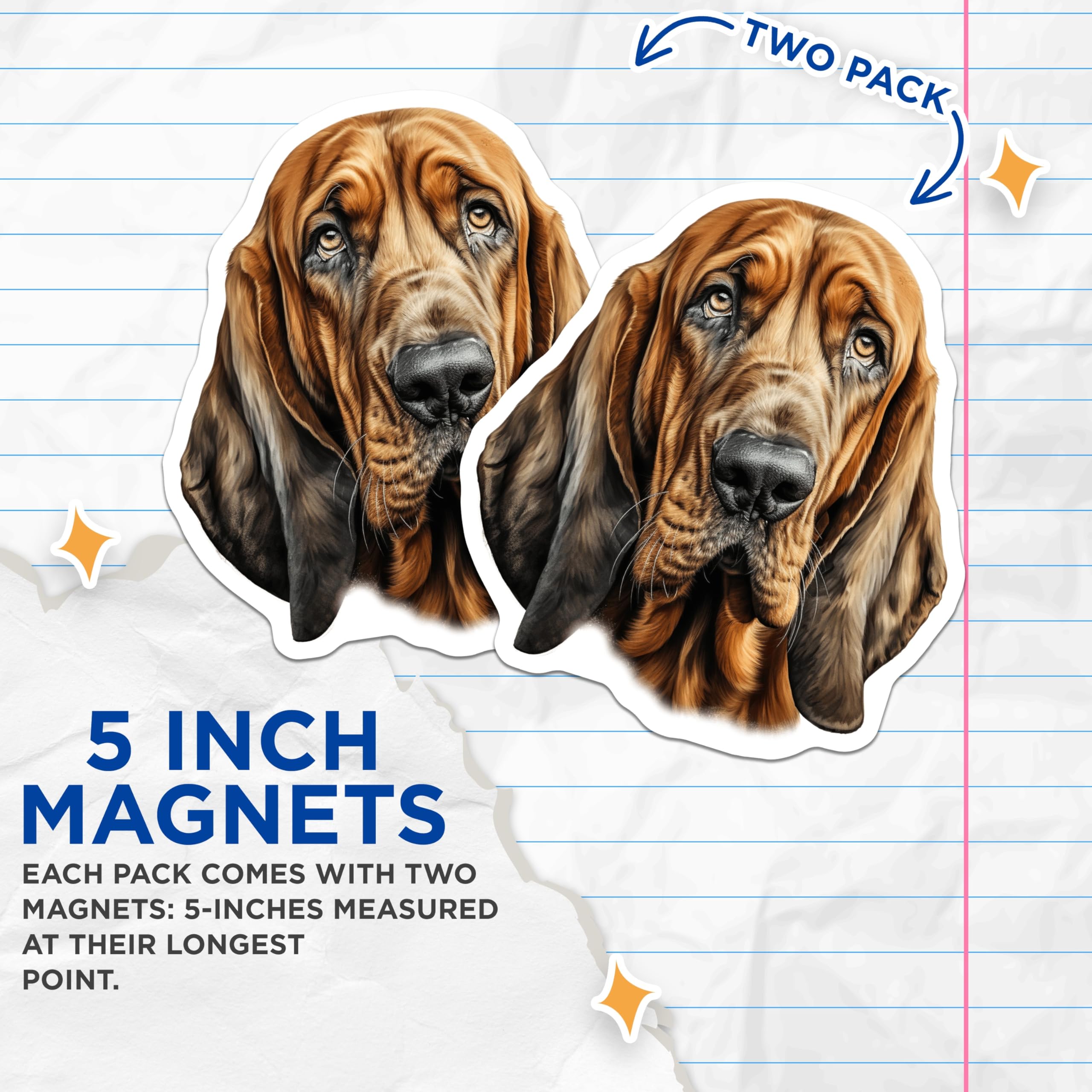 (2 Pack) Bloodhound Dog Magnets - Pet Lover Breed Art - Canine Enthusiast Decor for Fridge Locker - 5 Inches On Longest Side - Thick Durable Magnet - Made in USA - MAG28024