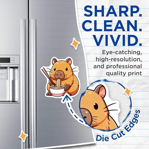 (2 Pack) Cartoon Capybara Illustration Magnet - Kitchen Decor - Cute Animal Art - 5" On Longest Side - Sticks to Smooth Flat Surfaces - Made in USA - MAG9906