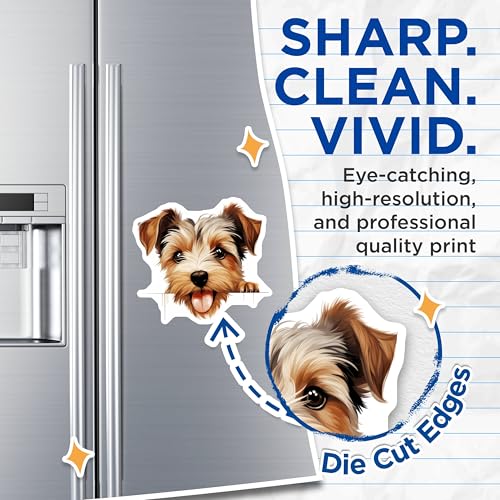 (2 Pack) Animal Decor Magnet - Pet Lover's Collection - 5" On Longest Side - Sticks to Smooth Flat Surfaces - Made in USA - MAG9871