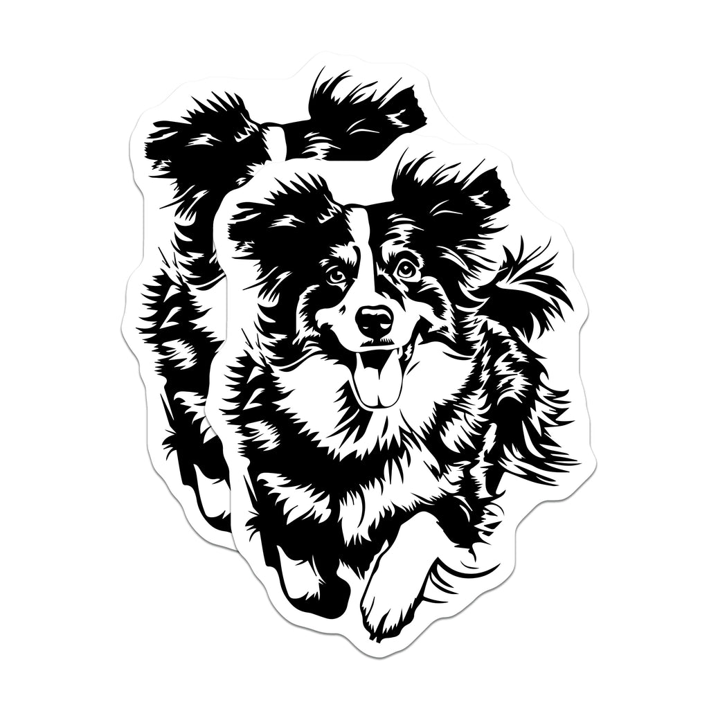 (2 Pack) Border Collie Magnets - Dog Lovers Decor - Pet Owner Appreciation Refrigerator Magnets - 5 Inches On Longest Side - Thick Durable Magnet - Made in USA - MAG39099