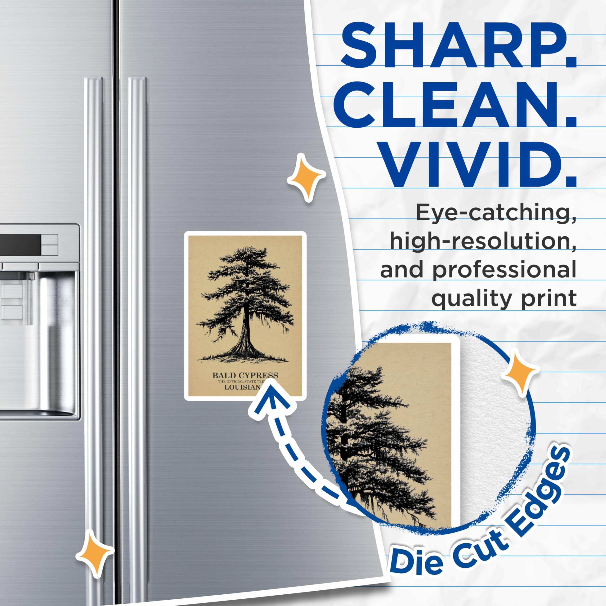 (2 Pack) Bald Cypress Magnets - Louisiana State Tree Decor - Tree Art Fridge Magnets - 5" On Longest Side - Premium Magnet - for Cars, Refrigerators, Toolboxes, Lockers - Made in USA - MAG17997