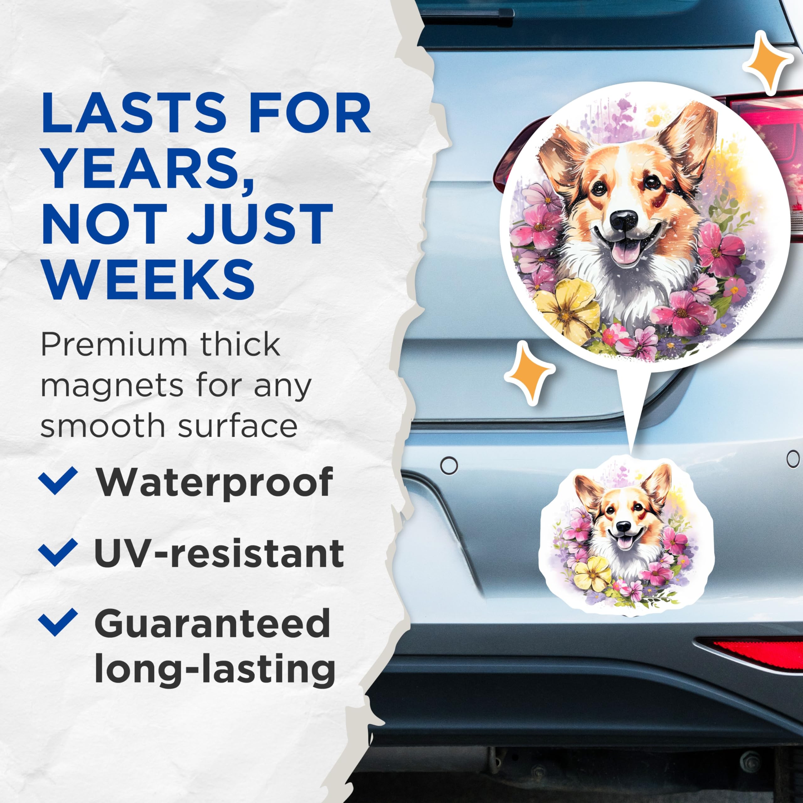(2 Pack) Watercolor Corgi Magnets - Smiling Dog Art - Spring Flower Pet Lover Magnets - 5 Inches On Longest Side - Thick Durable Magnet - Made in USA - MAG23927